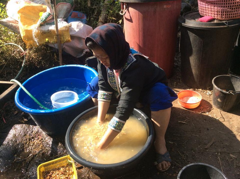 Outdoor Rice Washing Scene at Khun Chang Kian Village Person washing rice in a large basin outdoors with buckets and containers nearby at Khun Chang Kian Village.