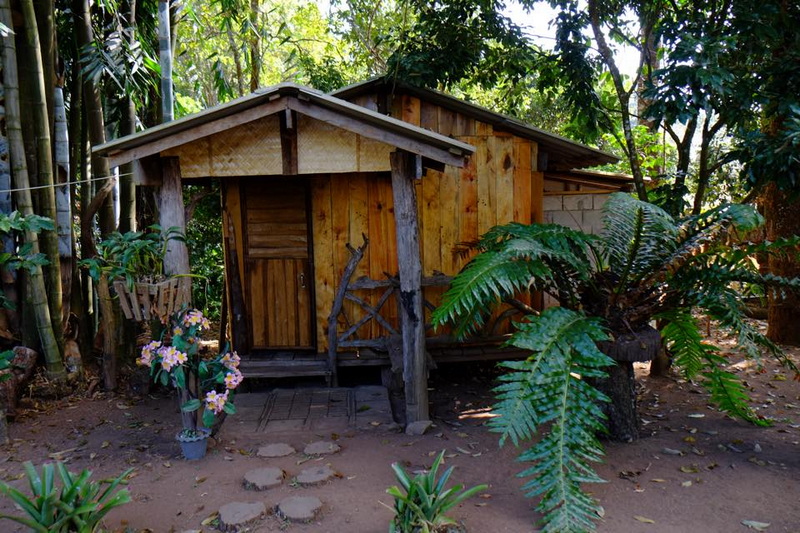 Small wooden hut amidst dense green forest with plants surrounding it at Khun Chang Kian.