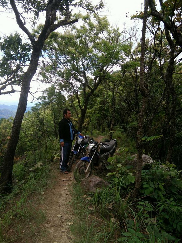 Forest Trail with Motorcycles at Khun Chang Kian Village Person with motorcycles on a forest trail amid tall trees at Khun Chang Kian Village.