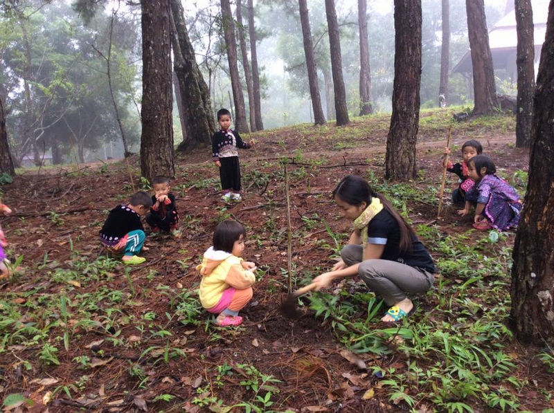 Children planting a tree in a foggy forest with a teacher and tent in background at Khun Chang Kian Village.