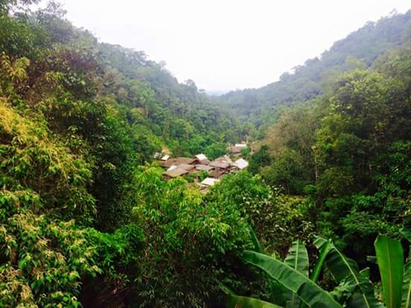Village in Lush Forest at Ban Mae Kanpong A village nestled among dense trees with hills in the background at Ban Mae Kanpong.