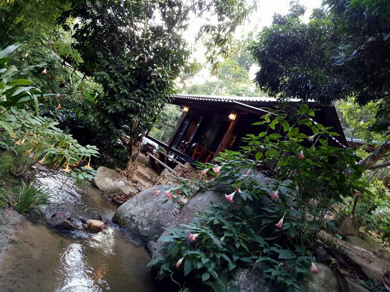 A wooden hut beside a stream surrounded by lush trees and pink flowers at Mae Kanpong Village.