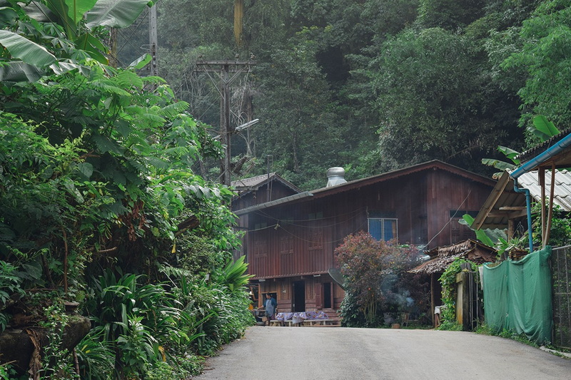 Wooden House Amid Forest at Mae Kanpong Village Wooden house with greenery and trees beside a narrow road in a forest at Mae Kanpong Village.