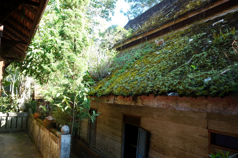 Wooden building with moss-covered roof amid green trees and plants at Mae Kanpong Village.