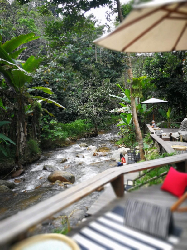 Riverside Outdoor Seating Area at Ban Mae Kanpong Outdoor seating by a river with umbrellas and lush greenery surrounding the area at Ban Mae Kanpong.