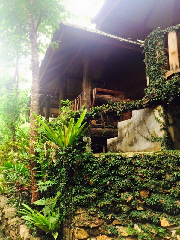 Wooden building with a sloped roof amidst lush green plants and climbing vines at Ban Mae Kanpong.