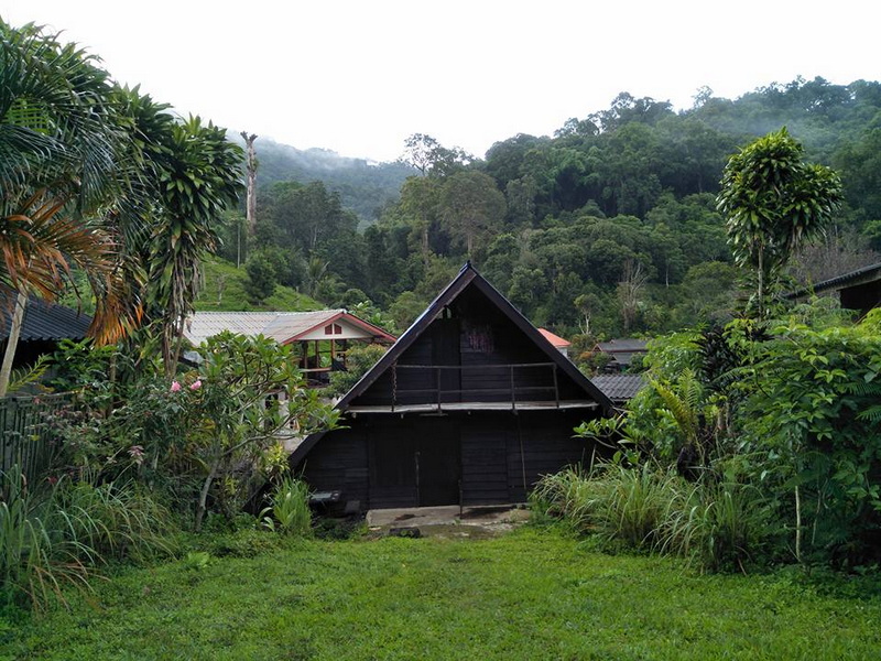Traditional Wooden House in Nature at Pang Hi Village Black wooden house with steep roof amid lush green garden and forest hillside at Pang Hi Village.