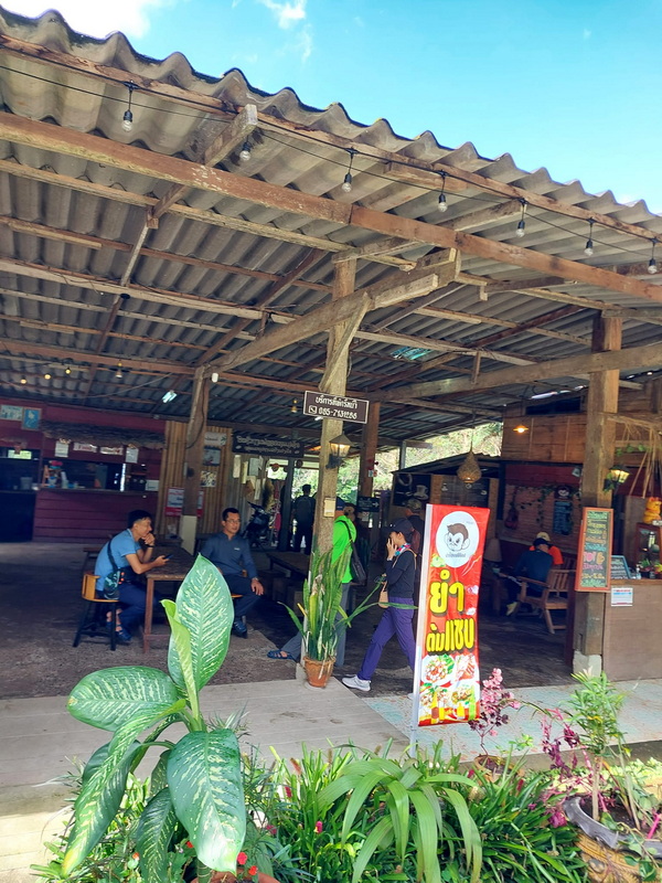 People sitting and walking inside a wooden market shelter with plants and signs at Pang Hi Village.