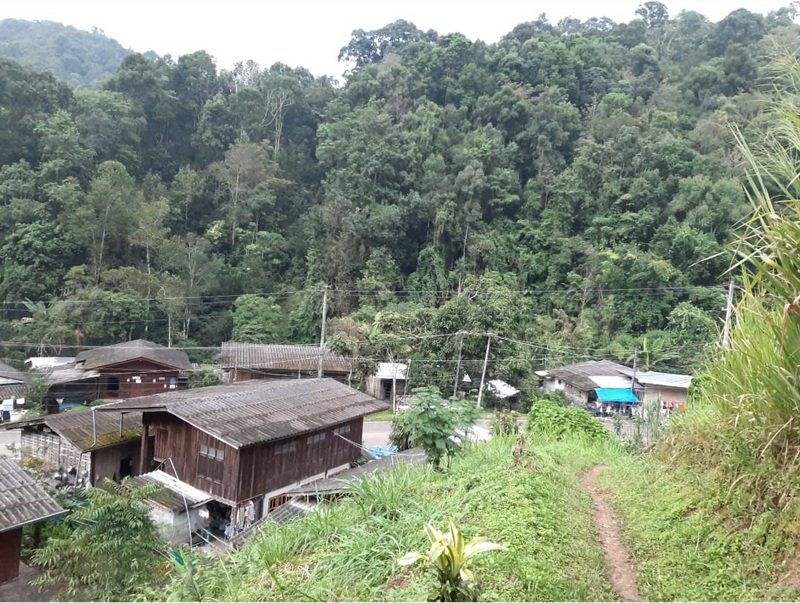 Hillside Village Scene at Pang Hi Village Houses on a hillside surrounded by lush green forest and trees at Pang Hi Village.