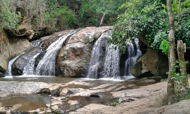 Serene Forest Waterfall at Mae Sa Waterfall Small waterfall flowing over rocks in a lush forest setting at Mae Sa Waterfall.