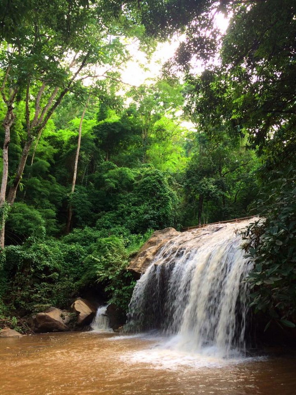Serene Forest Waterfall at Mae Sa Waterfall Small waterfall cascading over rocks surrounded by lush green trees in a forest at Mae Sa Waterfall.