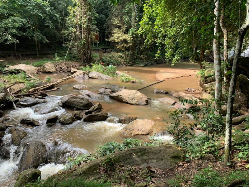 Serene Forest Stream at Mae Sa Waterfall River flowing through a forest with rocks and lush green trees at Mae Sa Waterfall.