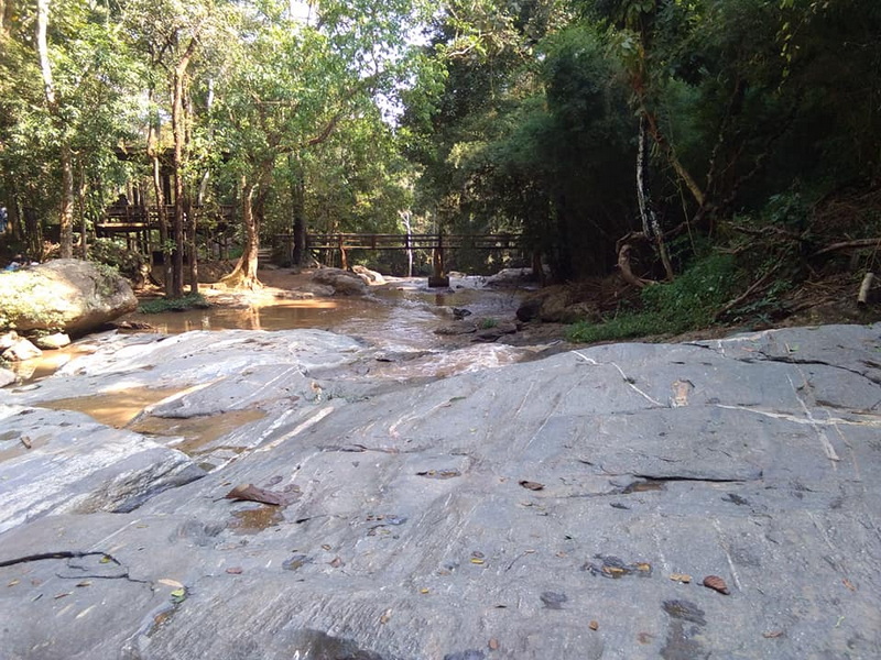 Riverbed in Dense Forest at Mae Sa Waterfall Rocky riverbed with surrounding trees and a small wooden bridge in the background at Mae Sa Waterfall.
