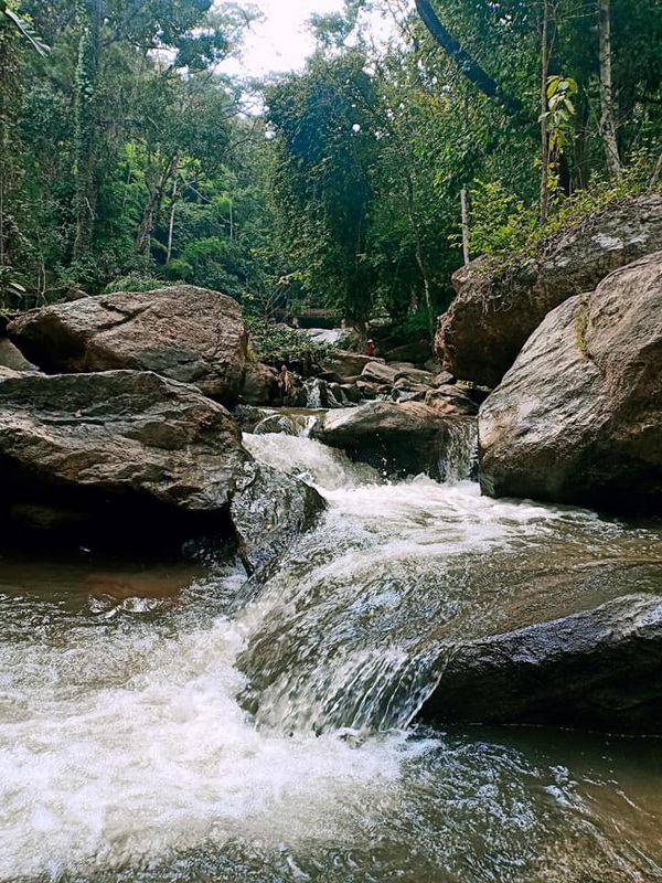 Flowing river with rocks and lush green forest surrounding it at Mae Sa Waterfall.