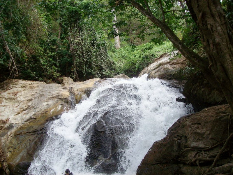 Mae Sa Waterfall Waterfall flowing over rocks amidst lush green trees and plants at Mae Sa Waterfall.