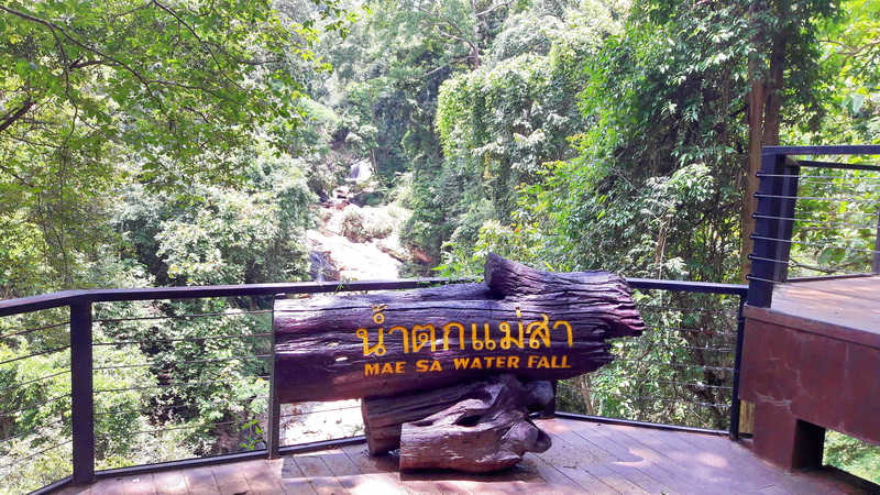 Mae Sa Waterfall Viewpoint Wooden sign with yellow text overlooking dense green forest and a small creek at Mae Sa Waterfall.