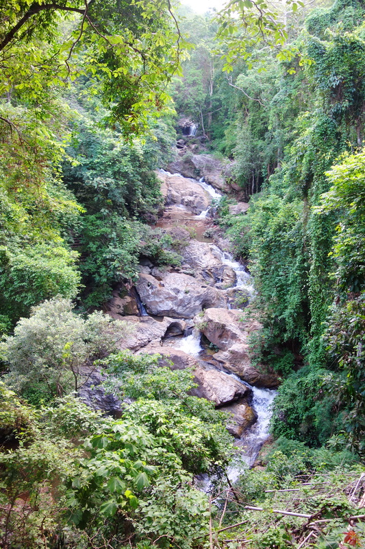 A flowing stream over rocks in a dense green rainforest at Mae Sa Waterfall.