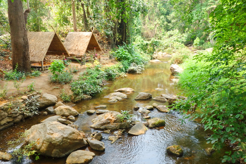 Stream with rocks and two small wooden huts in a dense green forest at Mae Sa Waterfall.