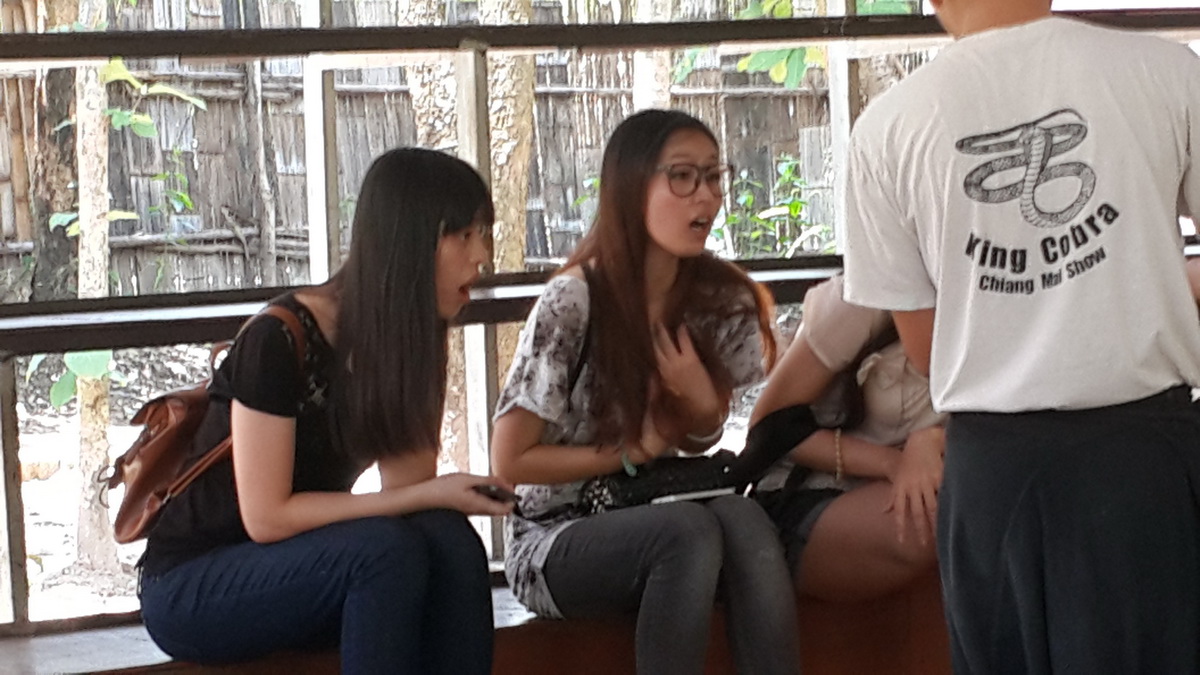 Three women sitting on a bench indoors with a wooden fence and greenery outside at Mae Rim Snake Farm.