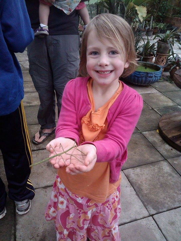 Girl Holding a Stick Insect Indoors at Siam Insect Zoo Young girl showing a stick insect with a smile inside a garden area at Siam Insect Zoo.