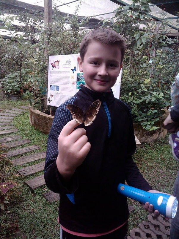 Boy with Butterfly in Greenhouse at Siam Insect Zoo Boy displaying a butterfly in a lush greenhouse setting at Siam Insect Zoo.