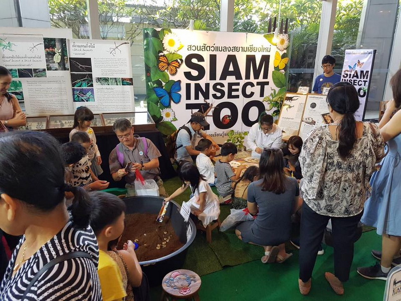 Insect Exhibit at Siam Insect Zoo Children and adults gathering around an insect display at Siam Insect Zoo booth
