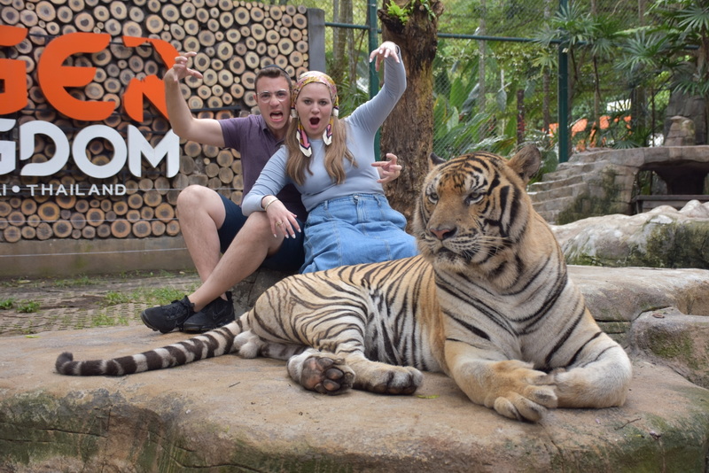 Visitors with a Resting Tiger at Tiger Kingdom Chiang Mai Two excited visitors posing with a resting tiger at Tiger Kingdom Chiang Mai