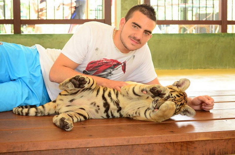 Man lying on the floor with a young tiger cub indoors near large windows at Tiger Kingdom Chiang Mai.